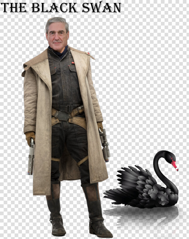 Donald Trump Toupee Png  Transparent PngTransparent PNG