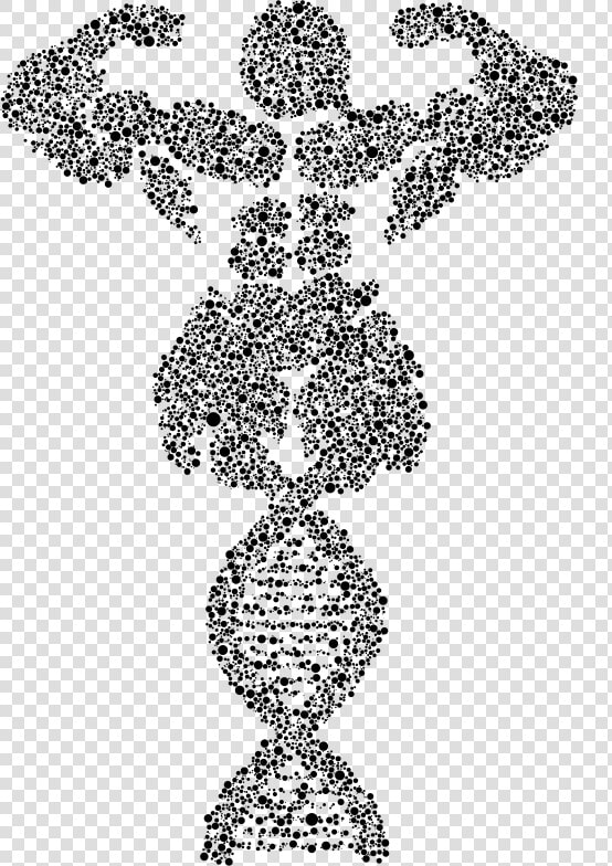 Bodybuilder Dna Circles   Line Art  HD Png DownloadTransparent PNG
