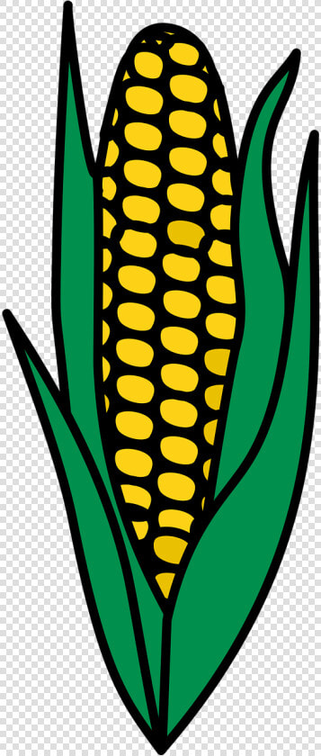 Maize Png Clipart  Transparent PngTransparent PNG