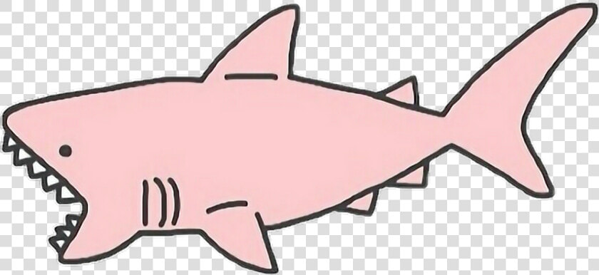 1024 X 471 1 0   Pink Shark Transparent  HD Png DownloadTransparent PNG