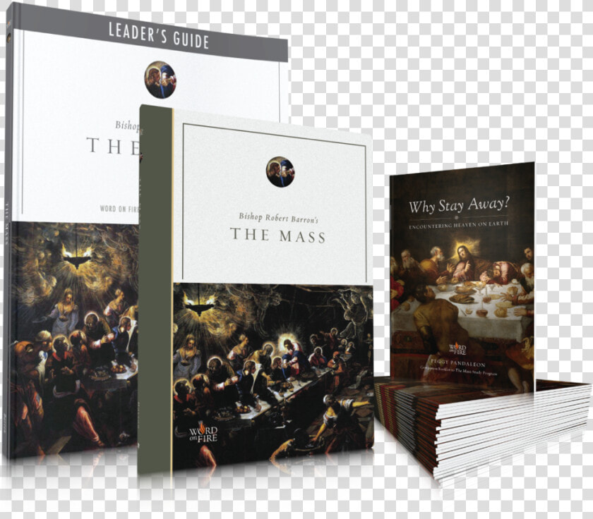 Bishop Robert Barron The Mass Dvd  HD Png DownloadTransparent PNG