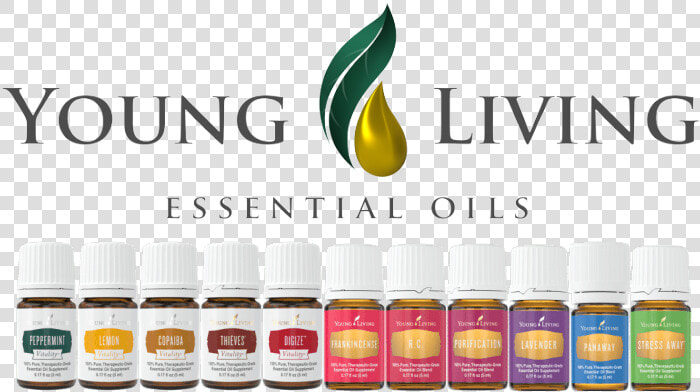 Young Living Premium Starter Kit 2017  HD Png DownloadTransparent PNG