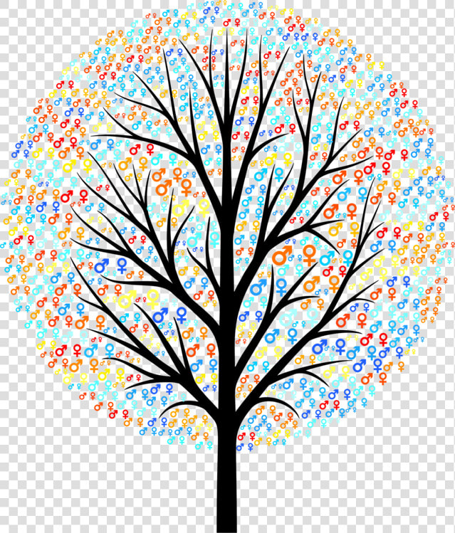 Plant leaf symmetry   Bare Tree Silhouette Png  Transparent PngTransparent PNG