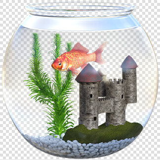 Fish  Bowl  Goldfish  Fishbowl  Aquarium  Food  Orange   Akvárium Png  Transparent PngTransparent PNG