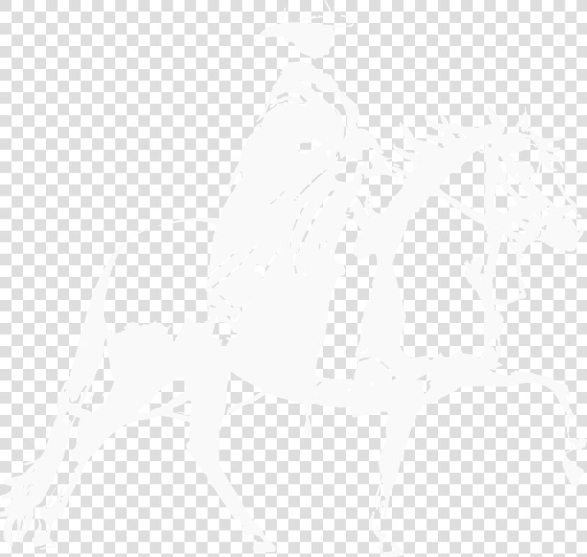 Peruvian   Horse  HD Png DownloadTransparent PNG