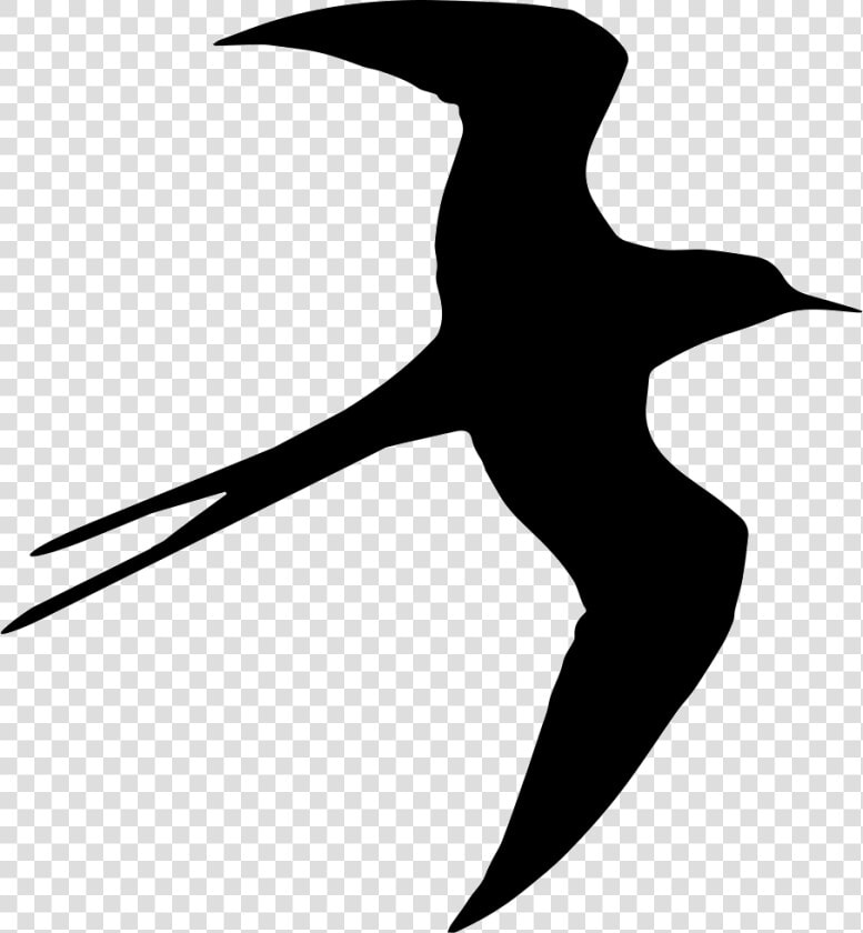 Swallow Bird Flying Silhouette   Bird Fly Psd File  HD Png DownloadTransparent PNG