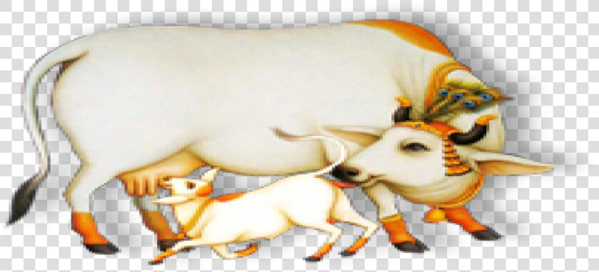 Indian Cow With Calf  HD Png DownloadTransparent PNG