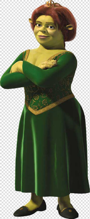 Shrek And Fiona Costume  Shrek Costume  Fiona Shrek    Shrek Fiona  HD Png DownloadTransparent PNG