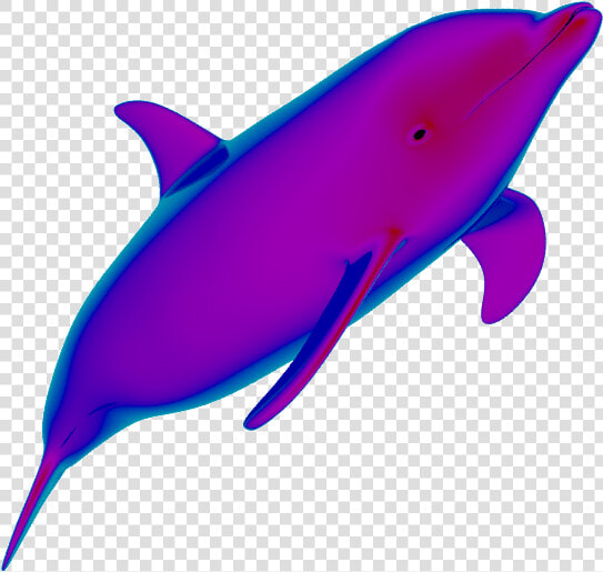 Neon Dolphins Are Cute ✧   Transparent Background Dolphins Animated Gif  HD Png DownloadTransparent PNG
