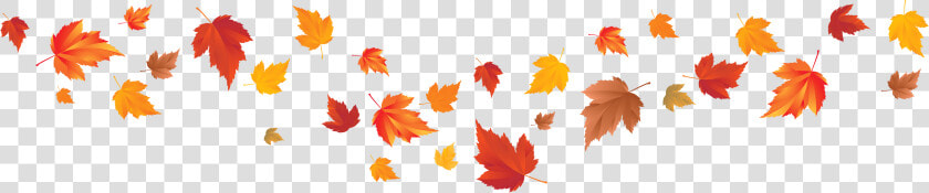 Autumn Leaf Color Autumn Leaf Color Red Maple Maple   Fall Leaves Transparent Background  HD Png DownloadTransparent PNG