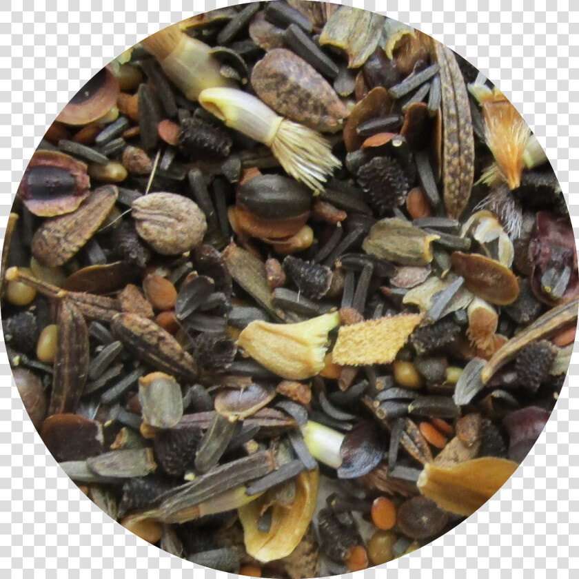 Pebble  HD Png DownloadTransparent PNG