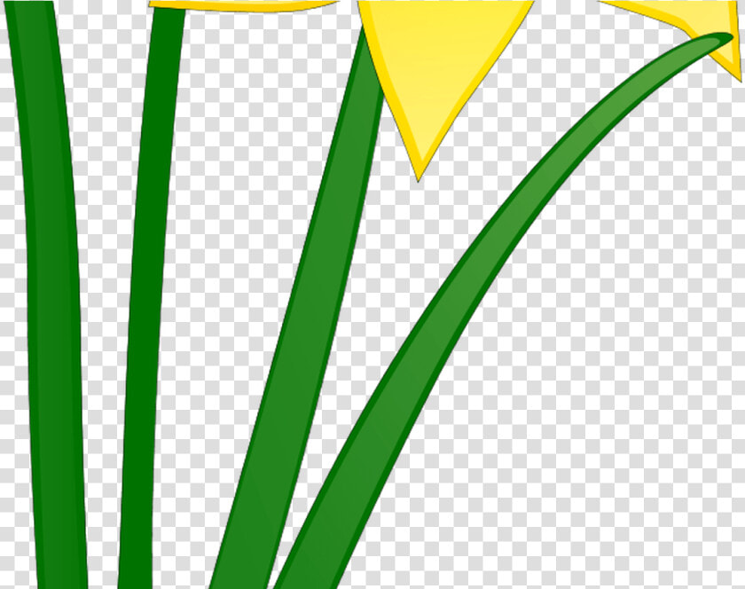April Showers May Flowers Clip Art   Daffodil Clip Art  HD Png DownloadTransparent PNG