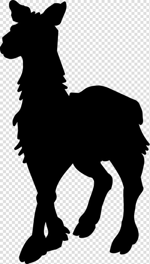 Mule Foal Stallion Mustang Donkey   Silhouette  HD Png DownloadTransparent PNG