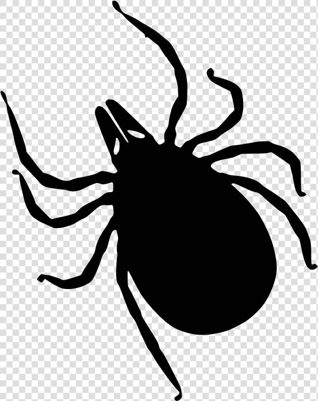 Simple Tick Silhouette   Bug Transparent Tick Clipart  HD Png DownloadTransparent PNG