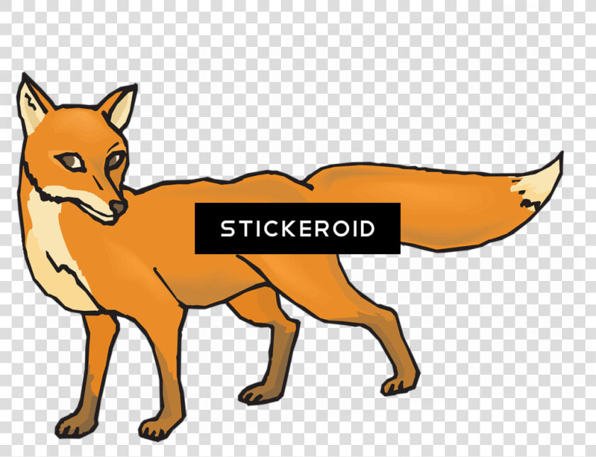 Transparent Jackal Png   Clip Art Fox Transparent  Png DownloadTransparent PNG