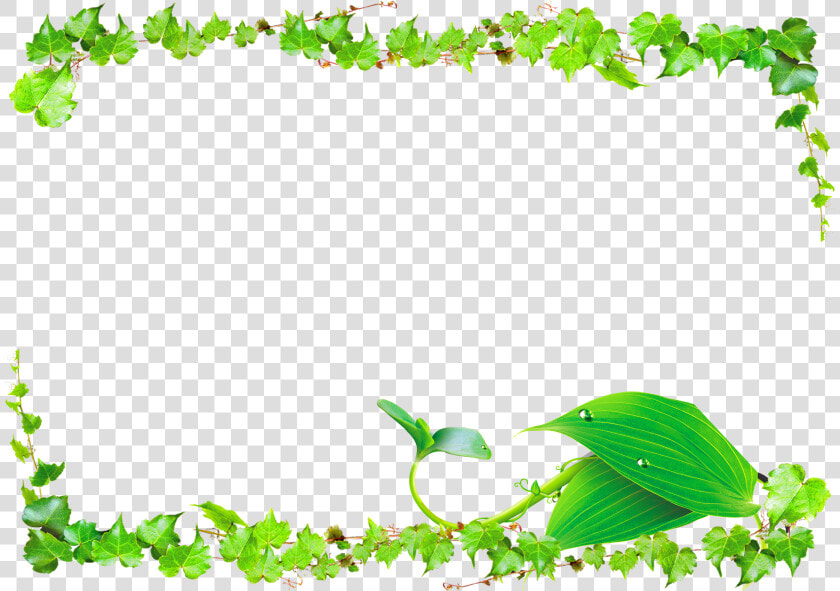 Leaf Green Vine   Leaves Border Design Png  Transparent PngTransparent PNG