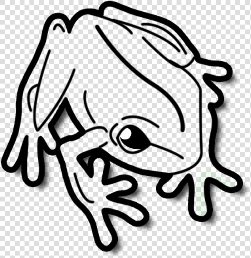 Black And White Png Frog Jumping   Puerto Rico Templates  Transparent PngTransparent PNG