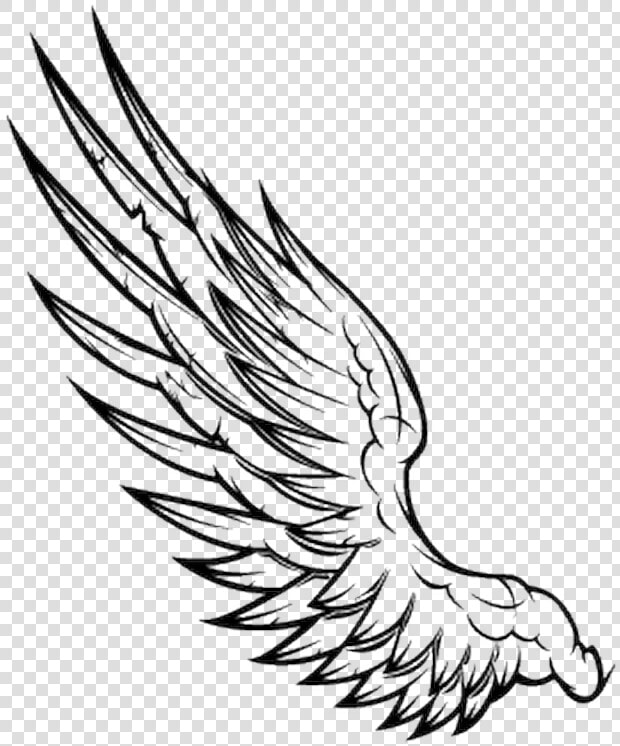 Sleeve Tattoo Vector Graphics Clip Art Angel   Une Aile D Ange  HD Png DownloadTransparent PNG