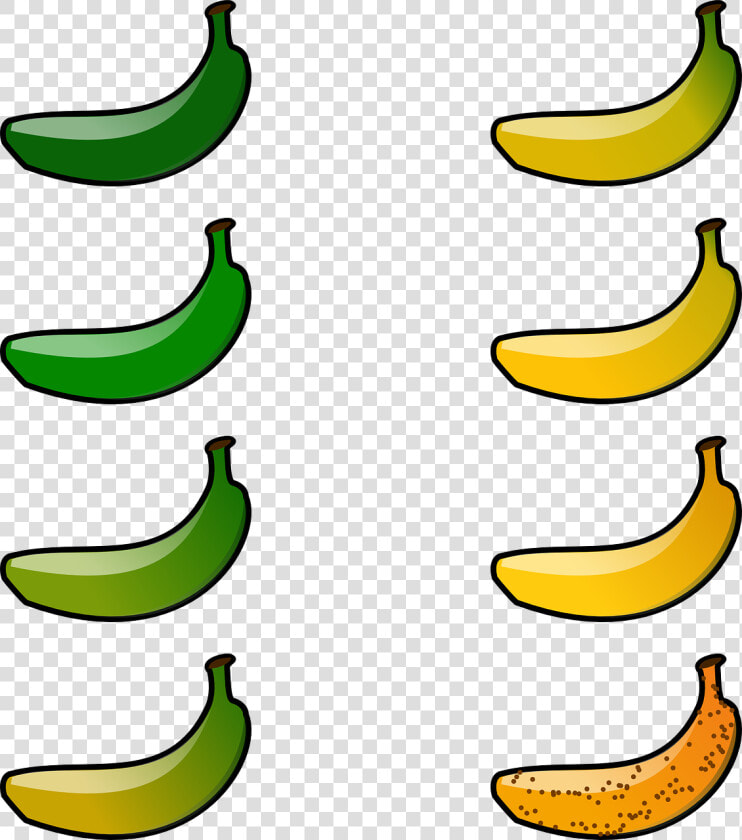 8 Bananas Clipart  HD Png DownloadTransparent PNG