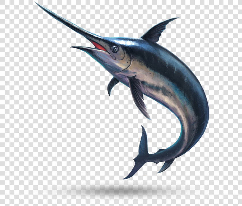 Swordfish   Swordfish Png  Transparent PngTransparent PNG