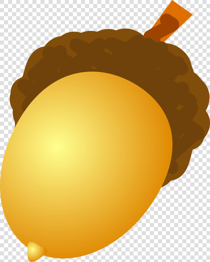 Acorn Png Image   Acorn Clip Art  Transparent PngTransparent PNG