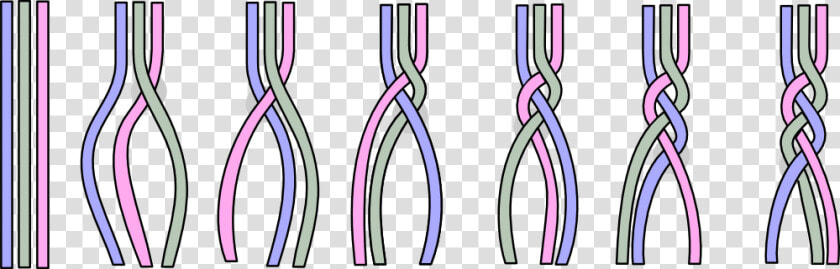 Braiding A technique   Braided File Technique  HD Png DownloadTransparent PNG
