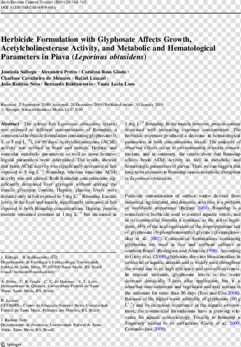 Document  HD Png DownloadTransparent PNG