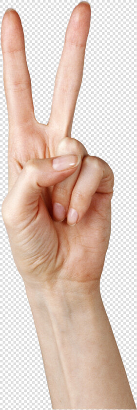 Peace Fingers Png   Peace Sign Hand Transparent  Png DownloadTransparent PNG