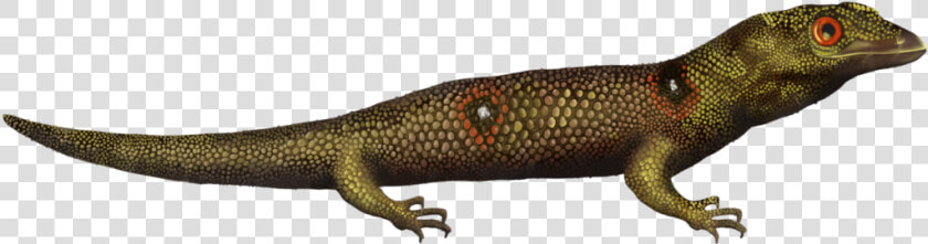 Alligator Lizard  HD Png DownloadTransparent PNG