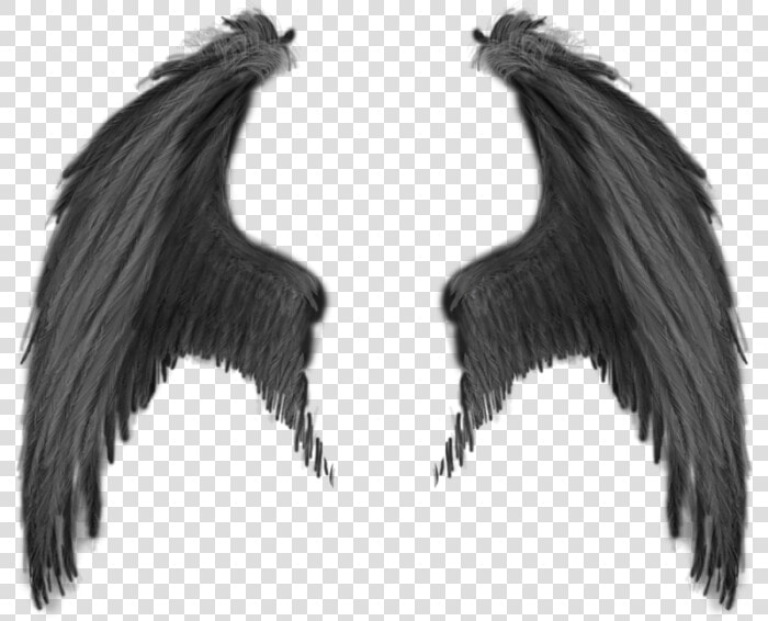 Wings Png   Devil Wings Png  Transparent PngTransparent PNG