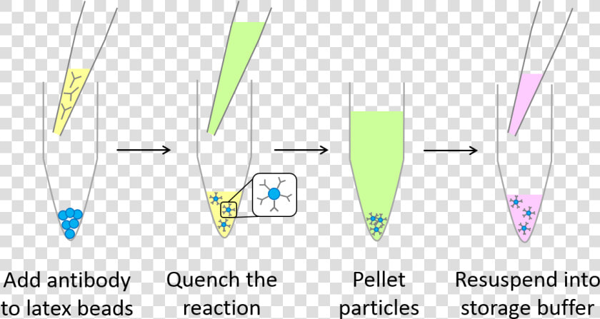 Latex Conjugation Kit   Antibody Conjugation To Latex  HD Png DownloadTransparent PNG