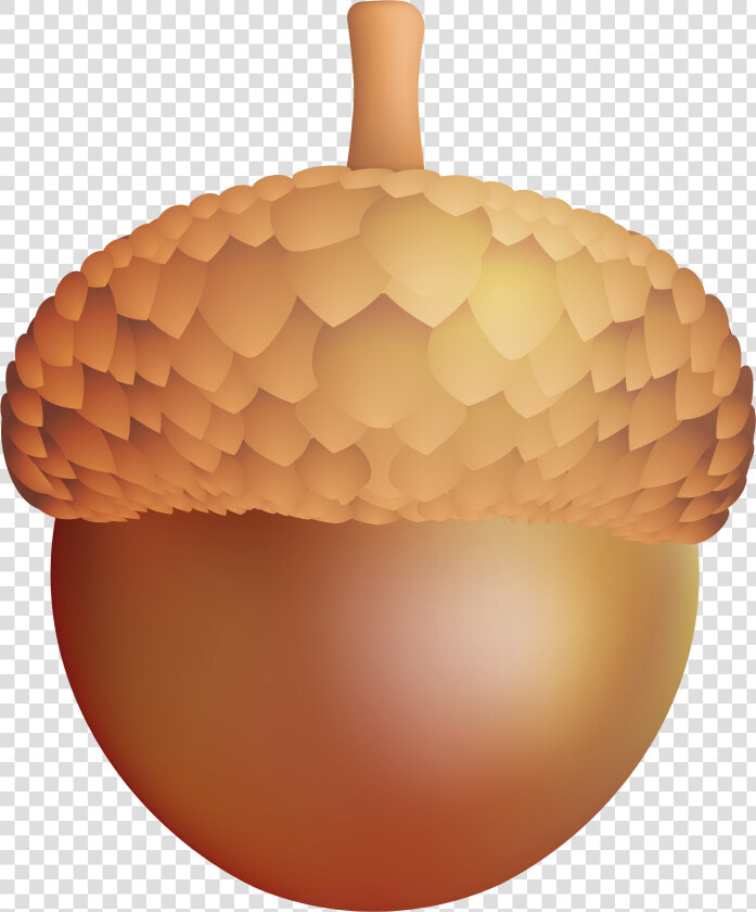 Acorn Shell Clipart Transparent Background Acorn Clipart    Acorn Clipart Png  Png DownloadTransparent PNG