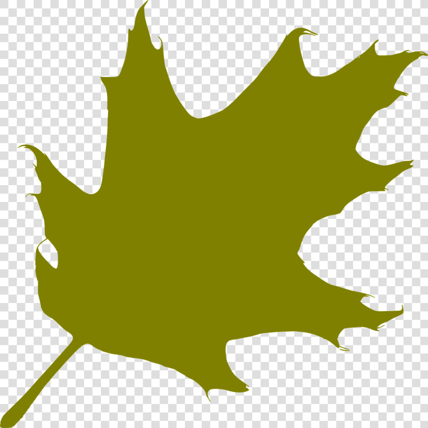 Oak  Leaf  Green  Silhouette   Silhouette Oak Leaf  HD Png DownloadTransparent PNG