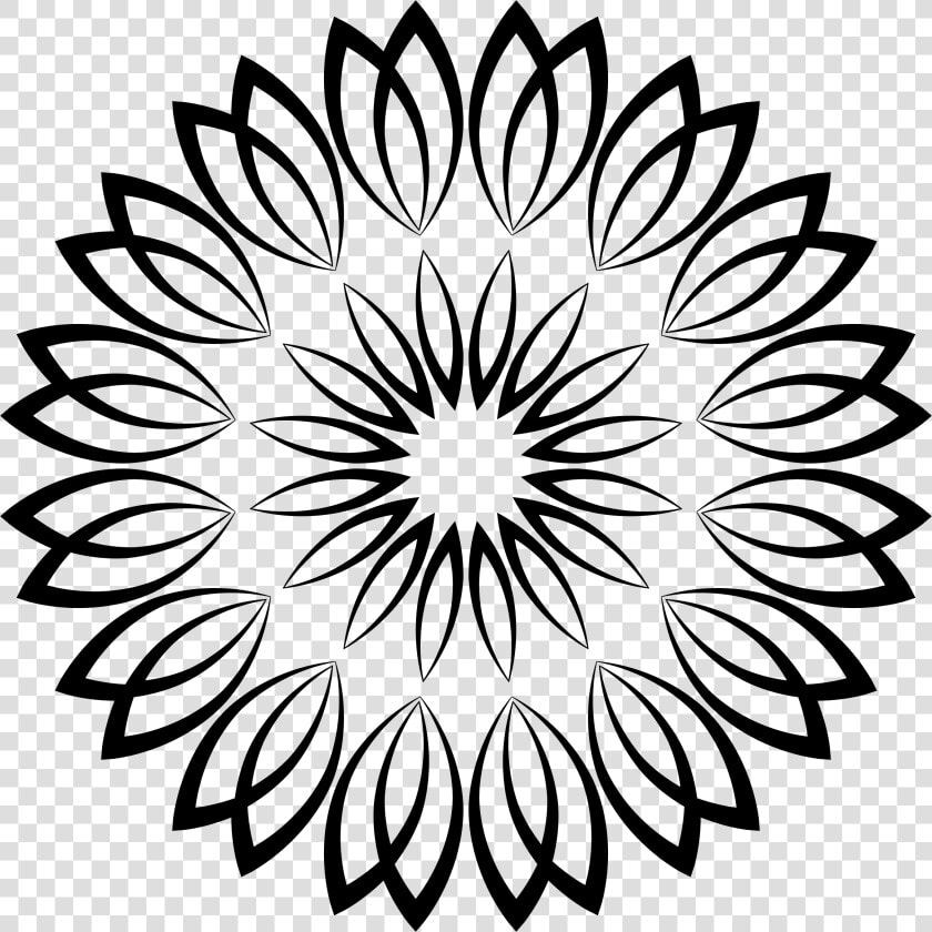 Cliparts For Free Download Lines Clipart Flower And   Lgbti National Health Alliance  HD Png DownloadTransparent PNG