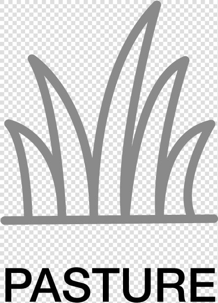 Pasture Icon  HD Png DownloadTransparent PNG