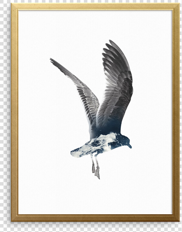 Set Sail Wall Art Print   Great Black backed Gull  HD Png DownloadTransparent PNG