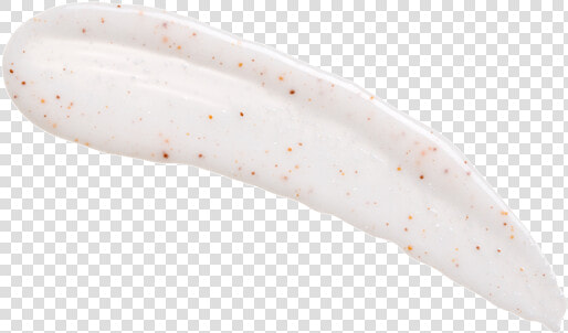 Marine Invertebrates  HD Png DownloadTransparent PNG