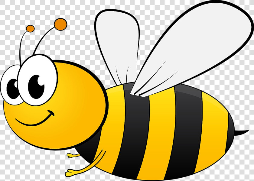 Transparent Bumblebee Png   Bumblebee Clipart  Png DownloadTransparent PNG
