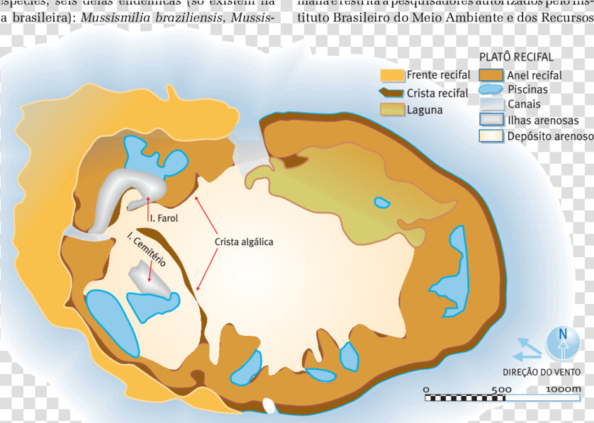 Esquema Do Atol Das Rocas  Mostrando A Localização   Map  HD Png DownloadTransparent PNG