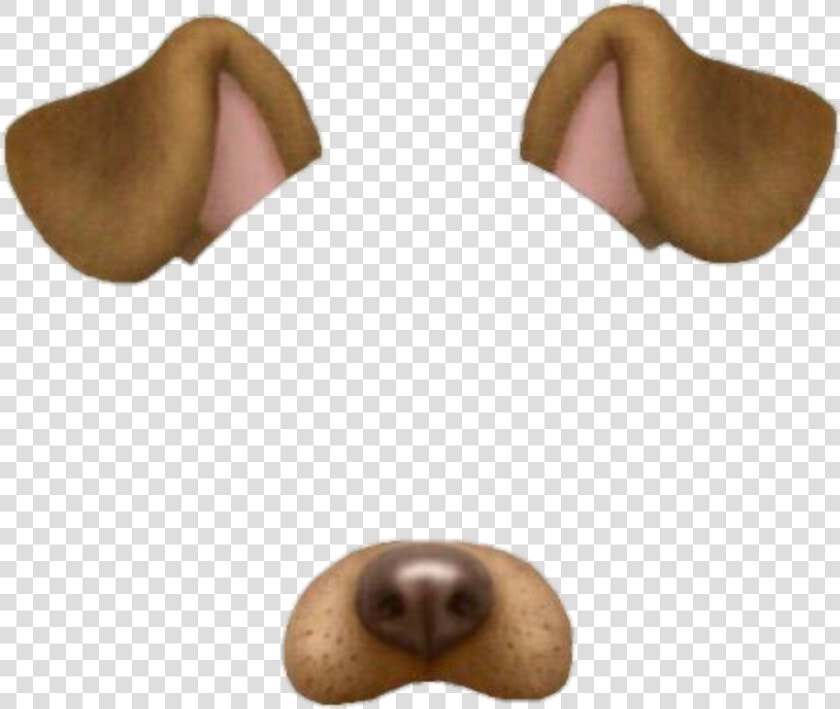 Overlay  Snapchat  And Dog Image   Snapchat Dog Filter Png  Transparent PngTransparent PNG