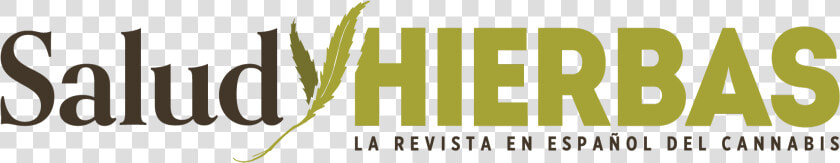 Salud Y Hierbas   Graphic Design  HD Png DownloadTransparent PNG