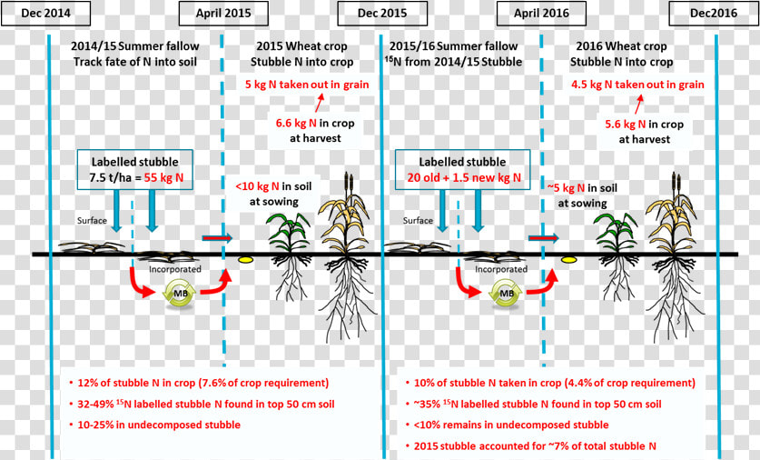 Figure 2 Is An Infographic Depicting The Fate Of The  HD Png DownloadTransparent PNG