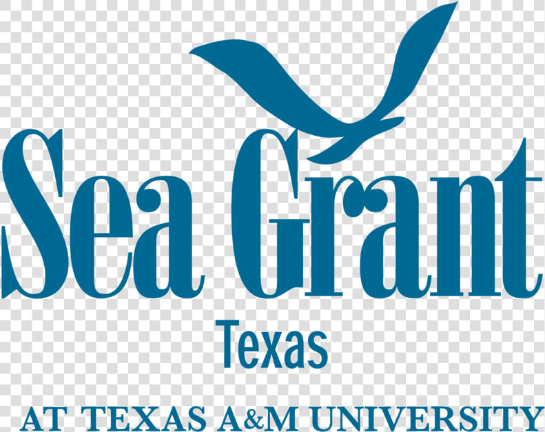 Seagrant Attexasam Blue   Texas Sea Grant Logo  HD Png DownloadTransparent PNG