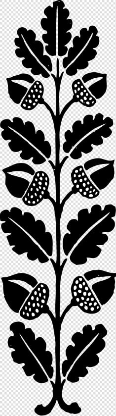 Acorn Clipart Church   Acorn Clip Art Free Black And White  HD Png DownloadTransparent PNG