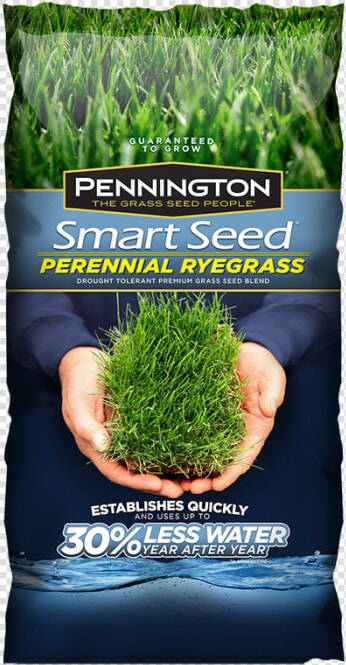 Pennington Tall Fescue Bluegrass  HD Png DownloadTransparent PNG