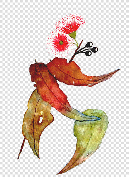 Eucalyptus Camaldulensis Painting In Transition Still   Illustration  HD Png DownloadTransparent PNG