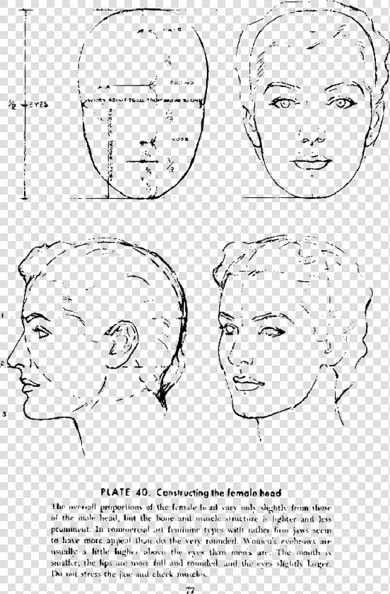 Transparent Lips Drawing Png   Andrew Loomis  Png DownloadTransparent PNG