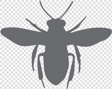 European Dark Bee Silhouette Clip Art   Honey Bee  HD Png DownloadTransparent PNG
