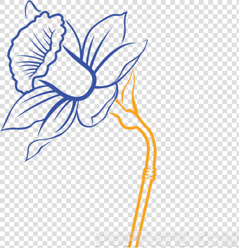 Transparent Daffodils Clipart   Daffodils Flower Drawing Black And White Simple  HD Png DownloadTransparent PNG