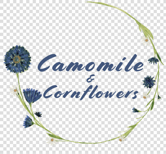 Camomile  amp  Cornflowers   Chrysanths  HD Png DownloadTransparent PNG